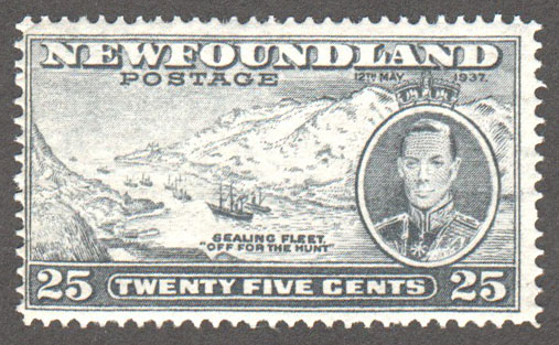 Newfoundland Scott 242 MNH F (P13.7) - Click Image to Close